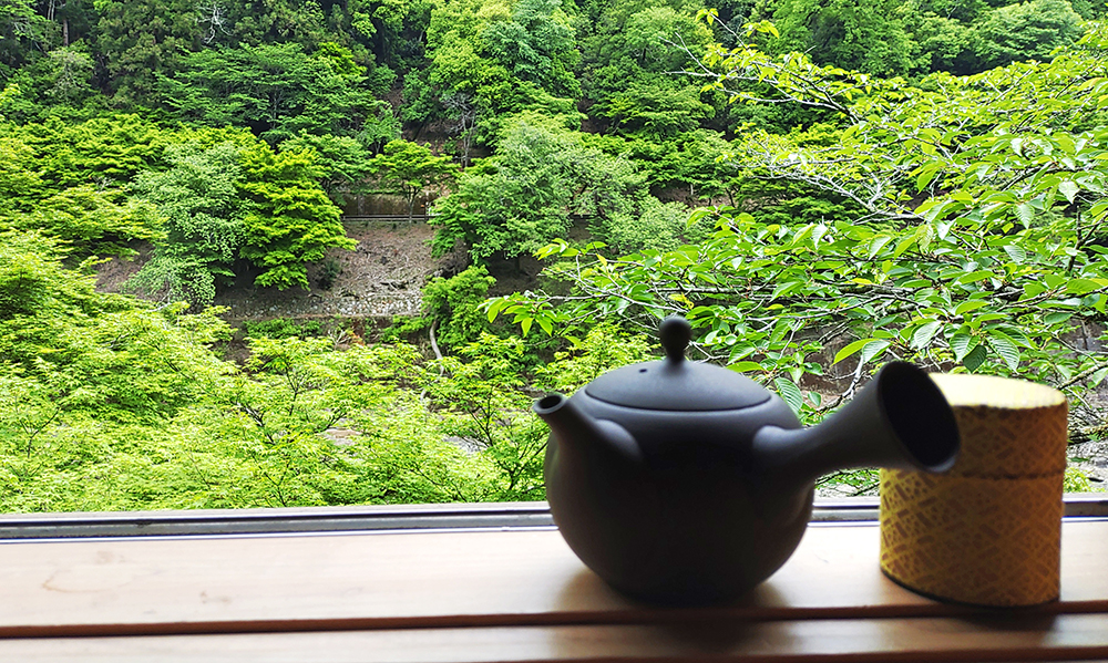 伝統文化こども教室 連携企画｜煎茶道親子教室（全6日）